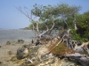 Philip Ashton's lookout -- a Roatan cay